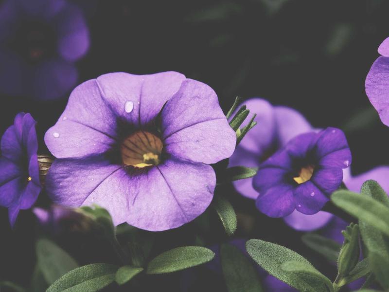 自动回复设置<br>24小时智能客服配置教程